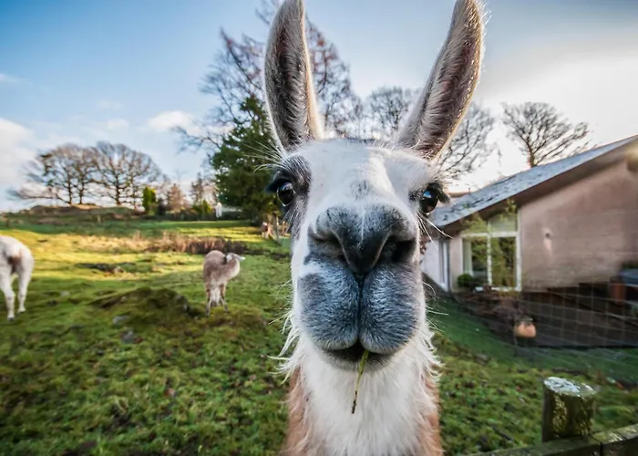 Gilpin & House 5* Bowness-on-Windermere